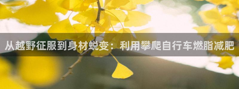 凯时尊龙官网app|从越野征服到身材蜕变:利用攀爬自行车燃脂减肥(图1) 凯时尊龙官网app