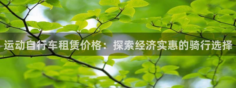 凯时尊龙官网|运动自行车租赁价格:探索经济实惠的骑行选择(图1) 凯时尊龙官网