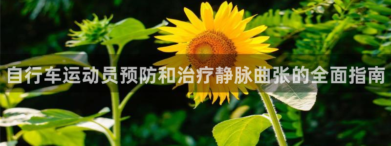 尊龙是哪里人|自行车运动员预防和治疗静脉曲张的全面指南(图1) 尊龙是哪里人