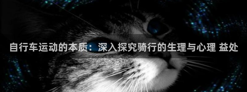 尊龙凯时公司官网|自行车运动的本质:深入探究骑行的生理与心理 益处(图1) 尊龙凯时公司官网