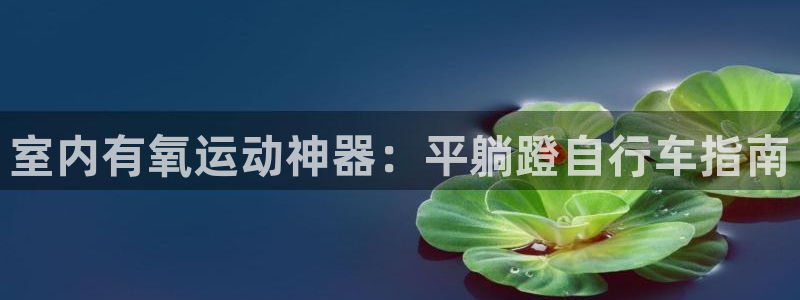 凯时尊龙|室内有氧运动神器:平躺蹬自行车指南(图1) 凯时尊龙