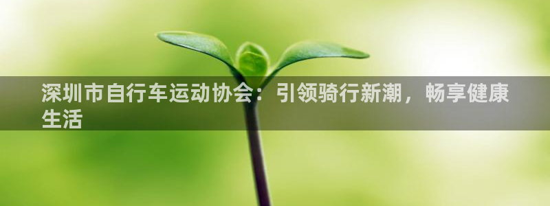 尊龙会|深圳市自行车运动协会:引领骑行新潮,畅享健康
生活(图1) 尊龙会