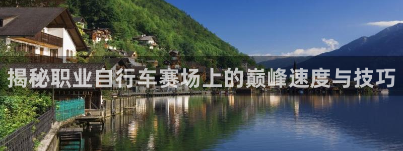 尊龙会|揭秘职业自行车赛场上的巅峰速度与技巧(图1) 尊龙会