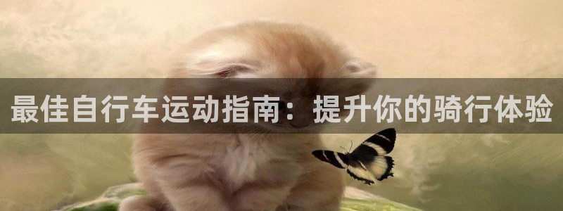 尊龙凯时d3563|最佳自行车运动指南:提升你的骑行体验(图1) 尊龙凯时d3563
