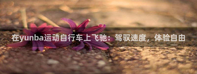 尊龙人生就是博AG旗舰厅|在yunba运动自行车上飞驰:驾驭速度,体验自由(图1) 尊龙人生就是博AG旗舰厅