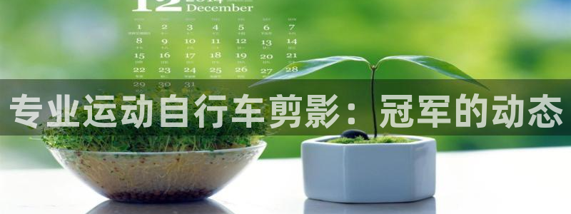尊龙d88|专业运动自行车剪影:冠军的动态(图1) 尊龙d88