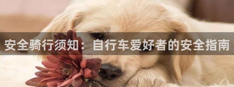 尊龙凯时-人生就是博!|安全骑行须知:自行车爱好者的安全指南(图1) 尊龙凯时-人生就是博!