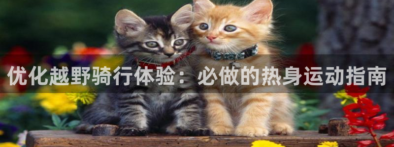 尊龙凯时|优化越野骑行体验:必做的热身运动指南(图1) 尊龙凯时