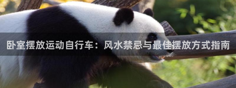 尊龙凯时人生就是博z6com|卧室摆放运动自行车:风水禁忌与最佳摆放方式指南(图1) 尊龙凯时人生就是博z6com