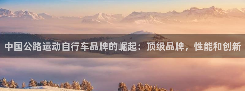 尊龙凯时中国官网|中国公路运动自行车品牌的崛起:顶级品牌,性能和创新(图1) 尊龙凯时中国官网